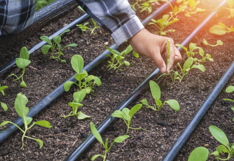 Watering System Installation in Aiken, SC