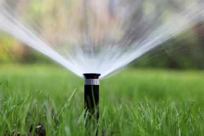 Water Plants and Grass Quickly and Easily!